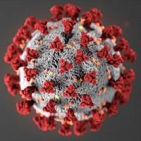 coronavirus molecule 